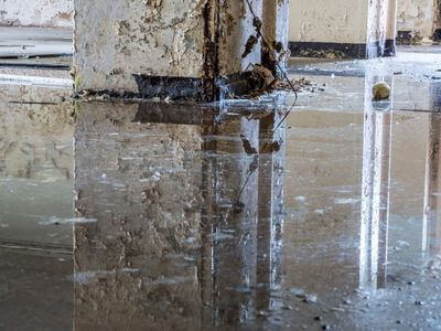 About Crawl Space Mold Remediation Fort Washington - basement water damage restoration experts in Fort Washington